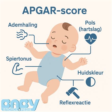 Illustratie van de Apgar-test en de parameters die worden beoordeeld.