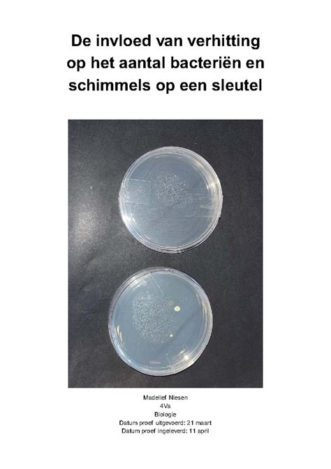 schema van het bereidingsproces van meringue, waarbij de verhitting de bacteriën doodt