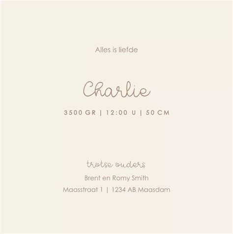 Voorbeelden van verschillende filteropties voor geboortekaartjes