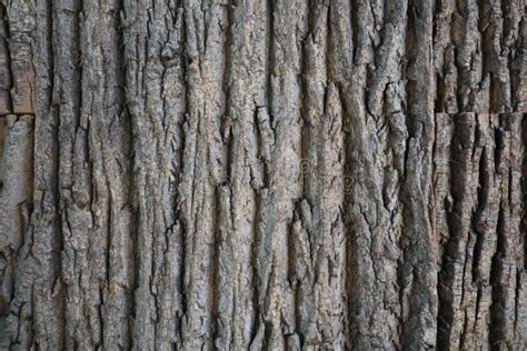 Close-up van houten speelgoed, waarbij de natuurlijke textuur van het materiaal zichtbaar is