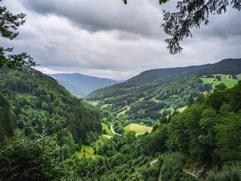 panoramisch uitzicht op het Zwarte Woud met dichte bossen en heuvels