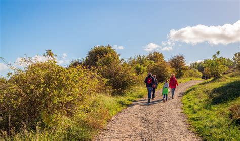 buggy die offroad rijdt op een zandpad in het bos