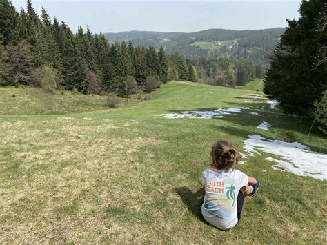 gezinswandeling door een bosrijk gebied in het Zwarte Woud met thematische elementen