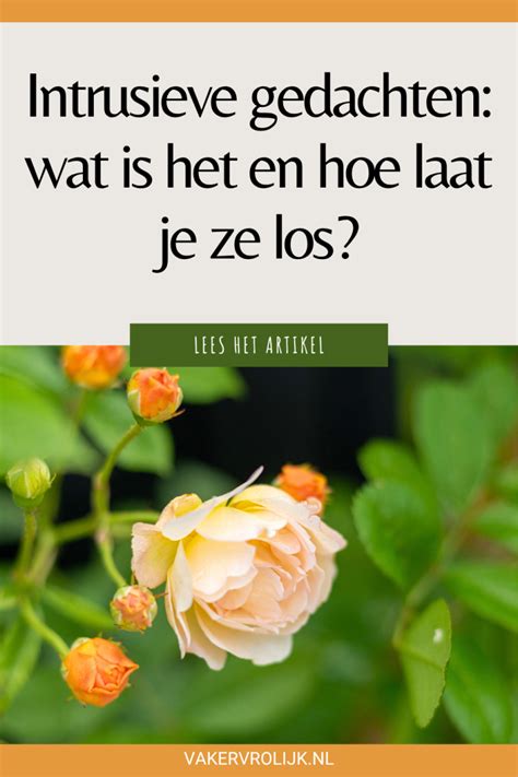 infographic die de verscheidenheid aan intrusieve gedachten illustreert