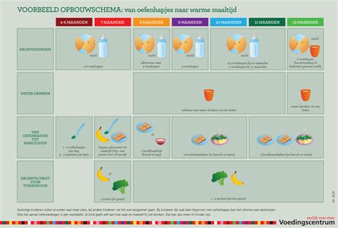 Schema dat de opbouw van vaste voeding voor baby's illustreert