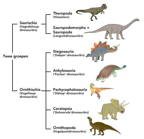 Overzicht van verschillende dinosaurussoorten met hun namen