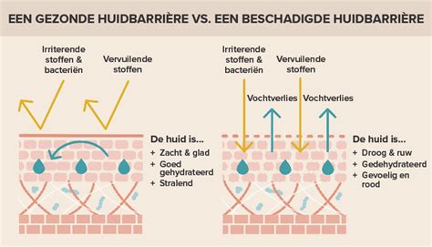 Illustratie van een huidbarrière die beschermd wordt door een crème