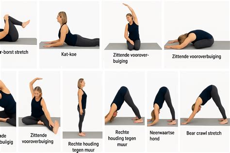 Informatie-grafiek die de verschillende draagposities toont: buik, rug, heup