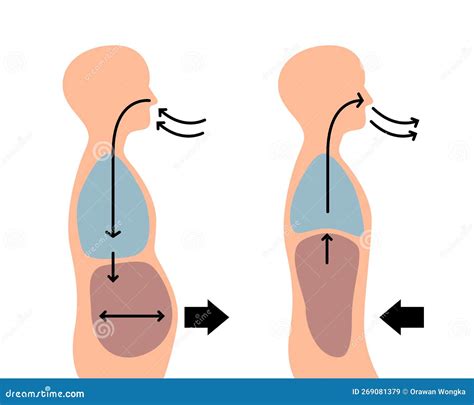 Schema van de ademhalingscyclus in de Wim Hof Methode: diep inademen, rustig uitademen, retentie.