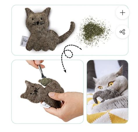 Foto van een snuffeltapijt met kattenkruid