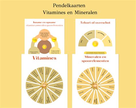 Infographic met de belangrijkste vitamines en mineralen in Nutrilon 4 en hun functies