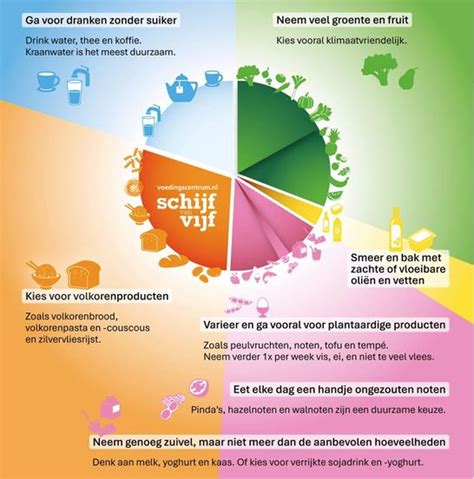 Visualisatie van de Schijf van Vijf met nadruk op de aanbevolen voedingsgroepen voor zwangere vrouwen.