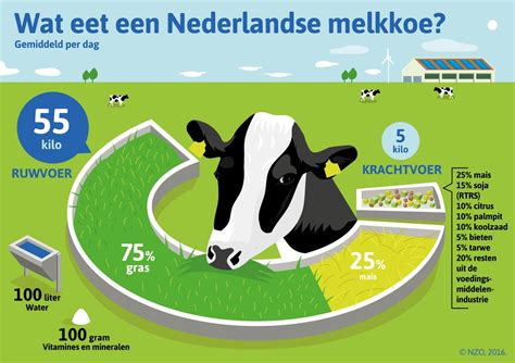 Infographic die de stijgende melkproductie per koe en de dalende vruchtbaarheid in Vlaanderen toont