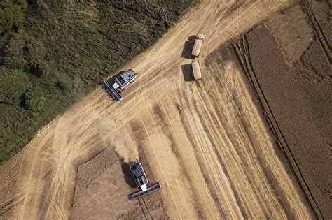 Dronebeelden van een uitgestrekte graanoogst op de Russische steppe met moderne maaidorsers.