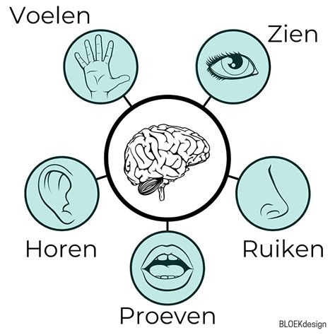 illustratie van een baby die zintuigen gebruikt om de natuur te ontdekken, zoals het voelen van gras of het luisteren naar geluiden.