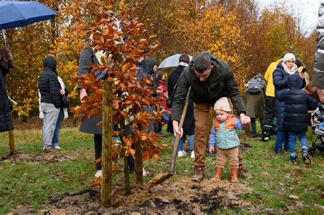 illustratie van een geboortebos met jonge bomen en spelende kinderen.