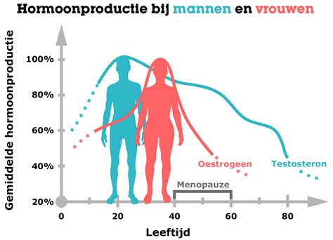 Infographic die de hormonale veranderingen bij vrouwen en mannen na de bevalling illustreert, met focus op testosteron, oestrogeen, progesteron en prolactine.