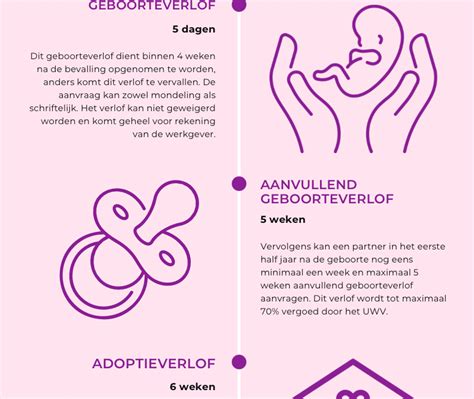 Grafische weergave van de verschillende soorten verlof rondom de geboorte