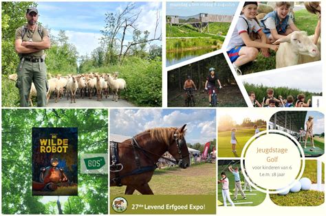 Collage van diverse activiteiten en kortingsmogelijkheden in Twente