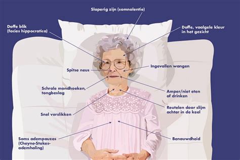Infographic die de belangrijkste kenmerken van een goed voedingskussen toont: afmetingen, materiaal, ondersteuning.