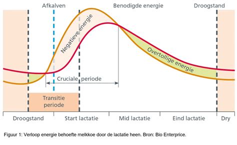 Grafische weergave van de negatieve energiebalans bij hoogproductieve koeien na het afkalven.
