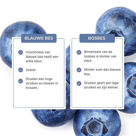 Infographic die het verschil toont tussen een universele en een merkgebonden bekerhouder, met aandacht voor compatibiliteit en montage.