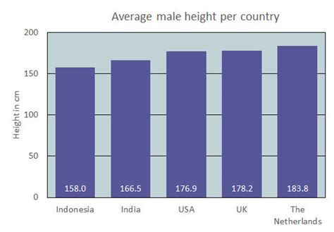 Grafiek die de gemiddelde lengte van een embryo/foetus per zwangerschapsweek weergeeft.