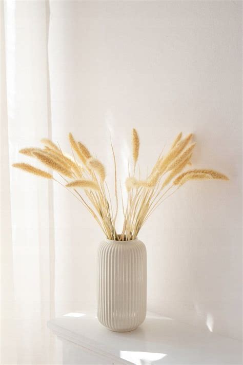 Een hoge, slanke vaas met pampas pluimen in een minimalistisch interieur.