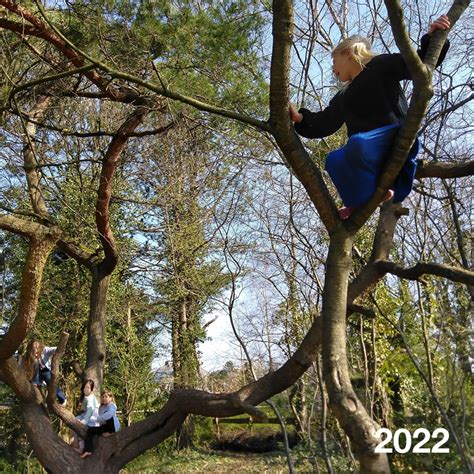 kinderen klimmen in een avonturenpark tussen de bomen