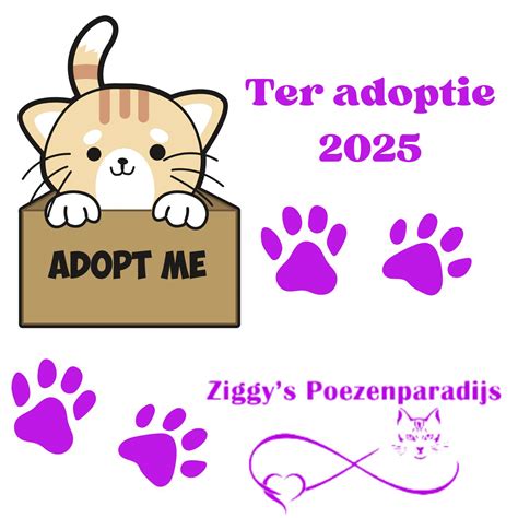 Illustratie van verschillende identificatiemethoden voor kittens, zoals gekleurde bandjes en nagellakstippen.