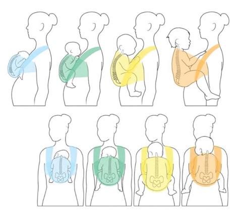 Illustratie van een ouder die een baby ergonomisch draagt in een draagdoek.
