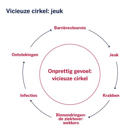 infographic die de vicieuze cirkel van jeuk en krabben illustreert