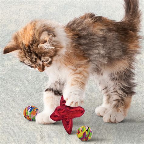 Illustratie van verschillende KONG kattenspeeltjes