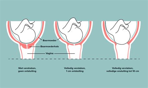 Diagram dat het proces van data ontsluiting met AI illustreert, van uploaden tot export.