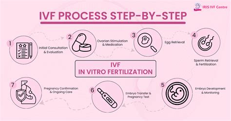 Schema van het IVF-behandelingsproces