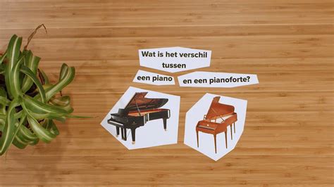 Illustratie die het verschil toont tussen een kinderwagenbak en een wandelwagen/buggy zitje