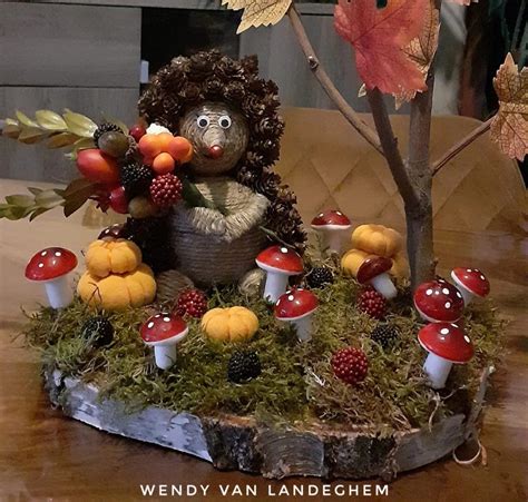 Babykamer decoratie en kleding in het egeltje thema, met focus op zachte materialen en herfstkleuren.