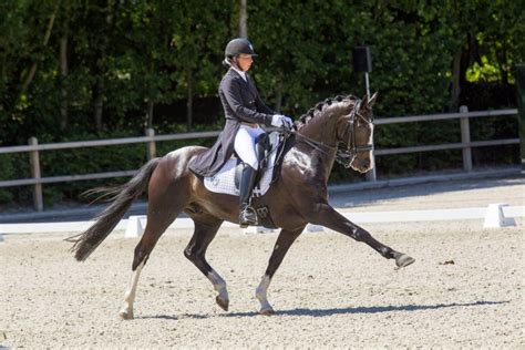 Lucie Louws in actie met Evito tijdens een dressuurwedstrijd
