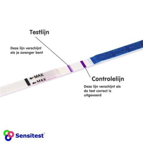 Overzicht van de zwangerschapstest en vervolgafspraken