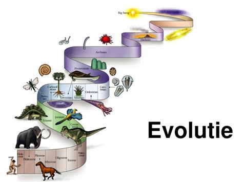 Schema dat de evolutie van verlichtingstechnologie toont
