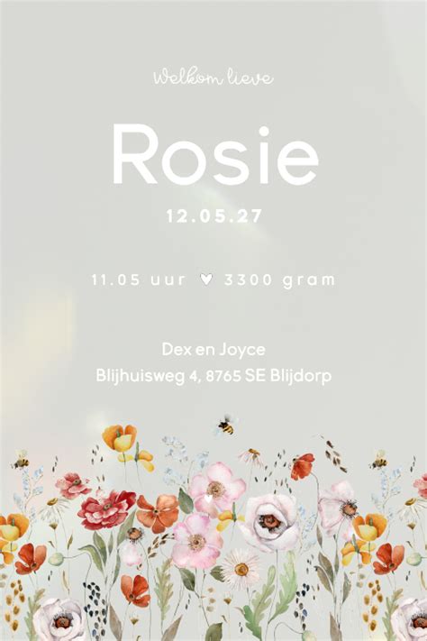 Illustratie van een schattig geboortekaartje voor een meisje met bloemen en een vlinder