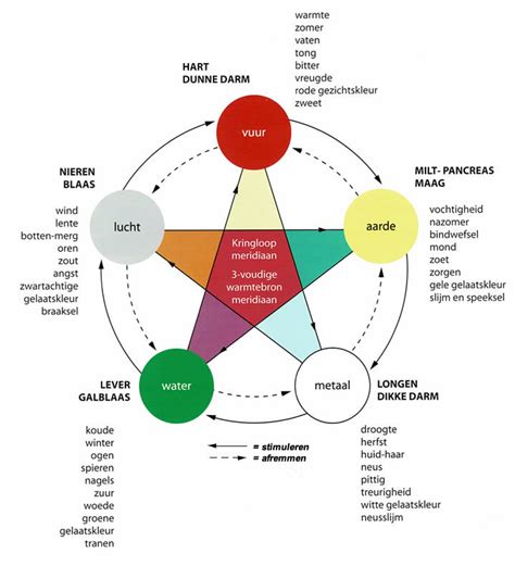 Schema dat de vijf elementen koppelt aan de vingers en hun rol in mudra's.