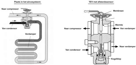 Gedetailleerde afbeelding van de ventielen en het compensatiesysteem van een eufonium.
