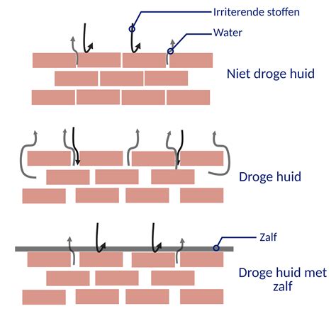 Schematische weergave van de vruchtbaarheidstrajecten bij het Erasmus MC