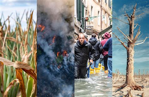 Collage van beelden die de gevolgen van klimaatverandering tonen: droogte, overstromingen, smeltende gletsjers