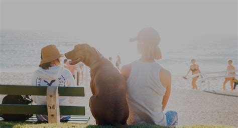 Artistieke foto van een circusartieste in actie