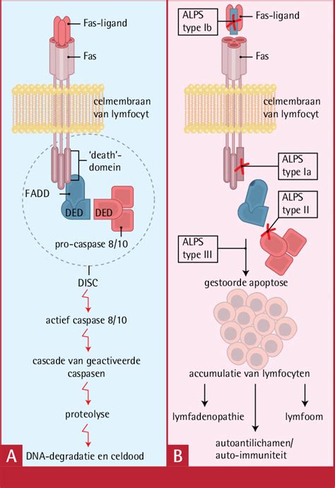 Schematische weergave van het Secure Connect-systeem van Philips Avent