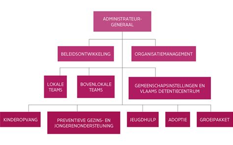 Organigram van de gemeentelijke organisatie met nadruk op clusters en stadsdelen.