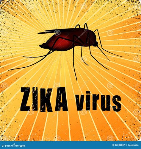 Illustratie van een Aedes mug, de belangrijkste verspreider van het zika virus.