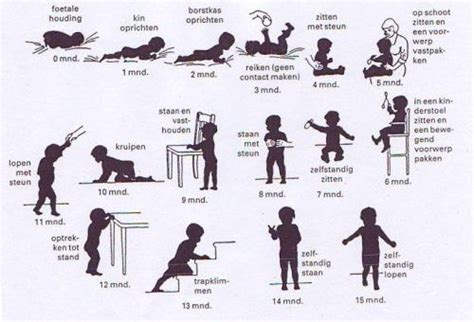 Informatieve afbeelding met schema van de ontwikkeling van een premature baby.
